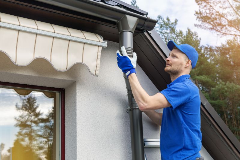 Gutter Service Image